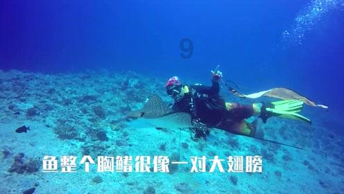 帝企鹅北极狐室外玩雪狂欢，长沙暴雪时分上演“冰雪奇缘”